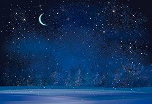 lot 16937 image: Yeele 5x3ft Winter Night Snowfall Snowflake Photography Backdrops Starry Sky Moon Blurry Fir Trees Pine Forest Background Merry Christmas Happy New Year Party Banner Decoration Studio Props - Retail $13