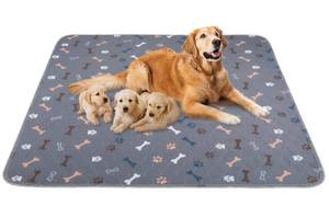 lot 16970 image: Baodan Washable Pee Pads for Dogs, 2Pack Reusable Puppy Pads, Fast Absorbent Dog Pee Pads for Crate Pet Training Pads, Waterproof Whelping Pads for Dogs Bed Mat Crate Indoor (Dark Grey, 18x24) - Retail $10