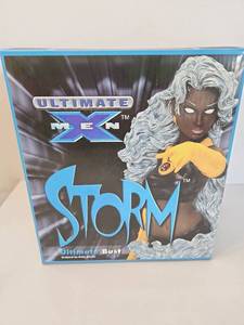 lot 307 image: Ultimate X-Men Storm Bust by Diamond Select