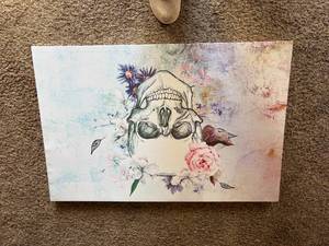 lot 1051 image: Skull Picture-- DR