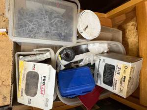 lot 1231 image: Screws & Bolts-- ShopEW