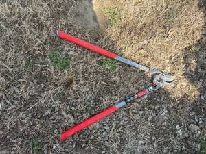 lot 1292 image: Heavy Duty Limb Trimmers-- S
