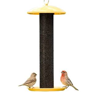 lot 10005 image: Perky-Pet YSSF00346-2 Straight-Sided Thistle Seed Wire Mesh Tube Finch Bird Feeder missing ring holder