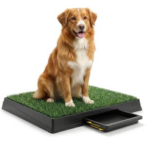 lot 10009 image: DUMOS Dog Grass Pad with Tray, 25 x 20 Grass Pad for Dogs Potty, Reusable Artificial Grass Pee Pad for Indoor & Outdoor Use, Easy Clean with Drainage Holes, for Puppy Potty Training