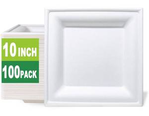 lot 17310 image: GreenWorks 100 Count 10 Inch Large Square Compostable plates, Biodegradable Bagasse and Bamboo Fiber Plates - Retail $29