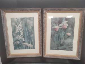 lot 472 image: Wild Hyacinth Botanical Print Set, 19 x 25, Camassia Scilloides. Weathered Wood Frances