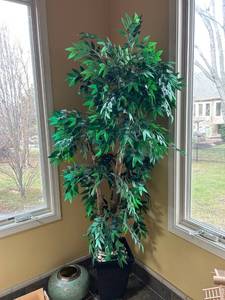 lot 530 image: 6ft Artificial Bamboo Tree with Decorative Pot