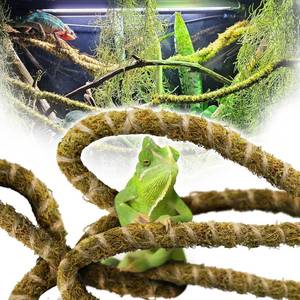 lot 1789 image: Duspro 6.5FT Reptile Vine & Moss Set for Climbing Bendable Branch, Natural Moss Rope Jungle Decor for Bearded Dragon, Chameleon Tank Accessories, Snake Gecko Lizard Terrarium