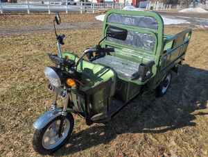 lot 290006 image: IRET13 ELECTRIC TRICYCLE (Green)