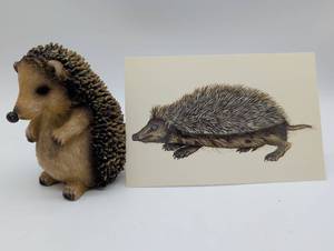 lot 2012 image: Hand-colored Hedgehog Woodcut Print by Conrad Gesner, 1551
