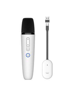 lot 1961 image: LvDonic Karaoke Microphone for Tesla Model Y3SX, Car Karaoke Microphone with USB-A & USB C Connector Receiver for Tesla Cars, CaraokeMic for Tesla Works for All App, 1 Mic