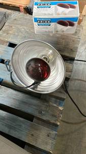 lot 11555 image: Producers Pride Red Heat Lamp with Aluminum Reflector