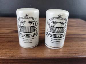 lot 2521 image: 1985 Southfork Ranch Salt and Pepper Shakers
