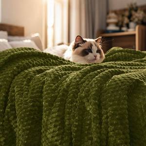 lot 3428 image: PHF Ultra Soft Flannel Fleece Blanket Queen Size, Lightweight 3D Jacquard Fleece Blanket, No Shedding, No Pilling, Luxury 340GSM Aesthetic Fluffy Cozy for Bed Room Decor, 90x90, Olive Green
