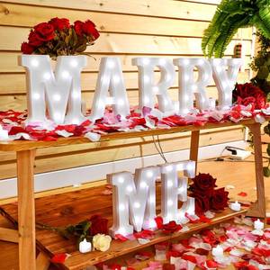 lot 11785 image: Roowest Marry Me Letters Light Proposal Decorations Set Includes 7 LED 6.3 x 5.5 Romantic Marry Me Sign and 1000 Rose Petals for Proposal Engagement Wedding Decor(White Light, Multicolor)