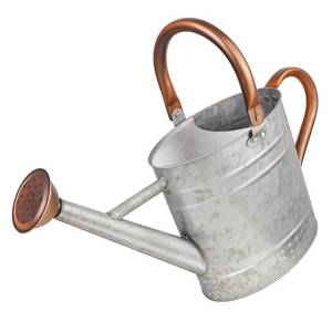 lot 19240 image: Megawodar 1 Gallon Metal Watering Can with Removable Spout, Nice Galvanized Steel Water Can with Embossed Design for Indoor and Outdoor Plants