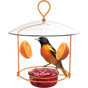 lot 2107 image: Natures Way OFM1 Wire Oriole Feeder
