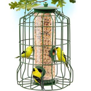 lot 4116 image: Squirrel Proof Bird Feeders for Outdoors Hanging (Metal Green) Bird Feeder with 4 Ports, Chew-Proof & Weather Resistant, Backyard Gift (10.25 x 6.25 x 6.25 inches)
