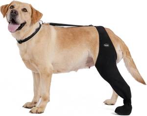 lot 4163 image: Dog Socks to Prevent Licking Paws ��Breathable Leg Sleeve to Stop Licking and Biting�� Firm and Secure Adjustable Size Dog Recovery Sleeve Socks (XL-Left)