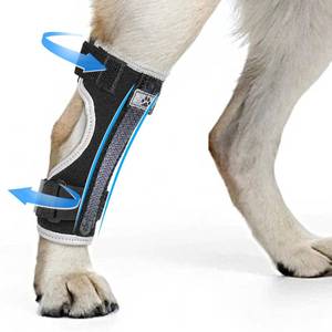 lot 6063 image: Marnonsis Dog Back Leg Braces, Supportive Dog Hock Brace for Rear Leg Stability & Pain Relief, Breathable Wrap Used for Canine Arthritis, Sprains, Post-Surgery Joint Recovery, Dark Black L