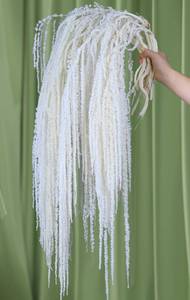 lot 9725 image: Glicrili 10Pcs Natural Dried Wisteria Hanging Flowers - 23 Bleached White Preserved Amaranthus for Wedding Decor, Dry Flowers Arrangement, Garlands, Home Decor, Vase Filler, Wall Decoration