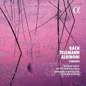 lot 18017 image: Bach, Telemann & Albinoni Concerti