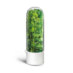 lot 18123 image: UEOZ Herb Keeper for Refrigerator, Herb Saver for Refrigerator, Vegetable Preservation Bottle for Cilantro, Mint, Parsley, Asparagus, Keeps Greens Fresh for 2-3 Weeks (1PCS)