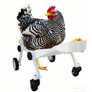 lot 10002 image: ANIMOASIS Adjustable Small-Scale Pet Chicken Wheelchair - Small Pet Poultry Mobility Aid Cart, Adjustable Size for Comfortable Use, Supports InjuredDisabled Poultry to Move Freely