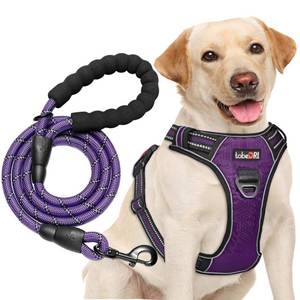 lot 11069 image: No Pull Dog Harness Adjustable Reflective Oxford Easy Control Medium Large Dog Harness with A Free Heavy Duty 5ft Dog Leash