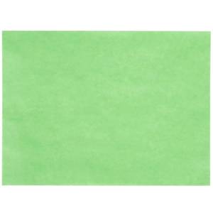 lot 15965 image: GreenTreat Steak Paper Sheets - 1000Case 9 x 12 40# by TableTop King