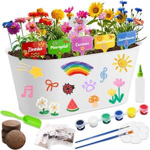 lot 15976 image: Paint & Plant Kids Gardening Set with 5 Flower Seeds, Arts and Crafts for Kids Ages 4-12, Science STEM Toys for Toddler Education, Birthday Gifts Ideas for Girls & Boys 4 5 6 7 8 9 10 11 12 Year Old pot bent