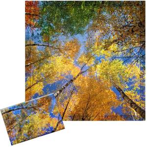 lot 16287 image: Baquler 2 Pcs 2 x 2 ft Fluorescent Light Covers for Ceiling Lights Classroom Magnetic Light Filters for Reducing Harsh Glare Flicker for Office Classroom Home Drop Ceiling(Fall Forest)