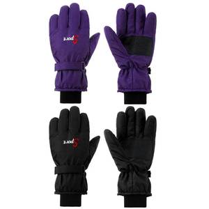 lot 20006 image: Jeere 2 Pairs Winter Ski Gloves Men Women Waterproof Snow Gloves Adjustable Snowboard Mittens for Cold Weather Men Women(Black,Purple)