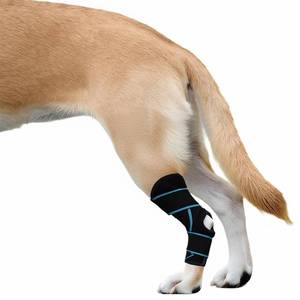 lot 20031 image: SHARKBEEPOWER Dog Knee Brace for Back Leg, ACL Support for Large Dogs, Adjustable Dog Leg Brace for Hind Leg Injuries, Canine Joint Wrap for Arthritis Recovery (M)
