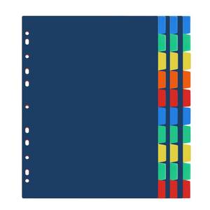 lot 20437 image: Darice 10-Tab Plastic Dividers 30 Pcs - Binder Dividers with Tabs - Multicolored Plastic Divider for 3 Ring Binder - File Organization �� Ideal for School, Office