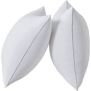 lot 3492 image: Qeils 18 x 18 Pillow Inserts Set of 2 White Throw Pillow Inserts with Soft Polyester Cover - Rectangle Square Interior Sofa Pillow Inserts Decorative Pillow Insert White Couch Pillow