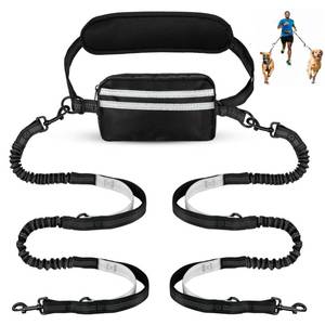 lot 6076 image: Hands Free Dog Leash with Pouch, Dual Attachment for Two Dogs, Retractable Bungee with Double Padded Handles, Waist-Mounted for Running,Walking, Jogging Friendly Dog Accessories (BlackSilver Gray)