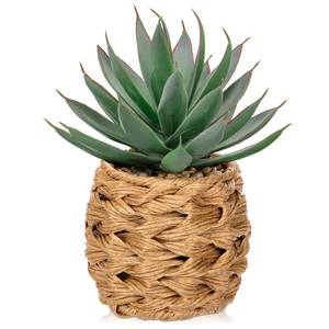 lot 11093 image: Briful Succulents Plants Artificial for Home Decor, Realistic Potted Fake Agave Plant in Wicker Basket, Cute Aloe Maguey Faux Plant, Shelf Tables Decor, Modern Farmhouse Home Decorations