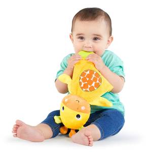 lot 12262 image: Bright Starts Snuggle and Teethe BPA-Free Crinkle Teething Plush Baby Toy - Giraffe