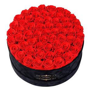 lot 17140 image: Gifts for Women � NATROSES 60 Preserved Roses in Luxury Black Velvet Box, Preserved Flowers for Delivery Gift for Her, Elegant Rose for Birthday, Mother�s Day, Christmas (Red)