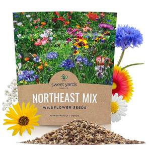lot 20068 image: Northeast Wildflower Seeds - Extra Large 1 Ounce Packet - Over 7,500 Native Seeds - Open Pollinated and Non GMO Varieties for New York, Virginia, Pennsylvania, Maine and More
