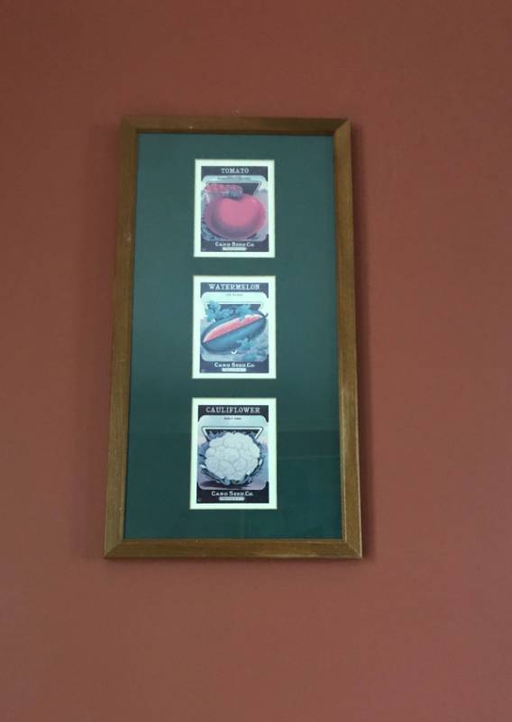 lot 2559 image: Framed Vegetable Seeds