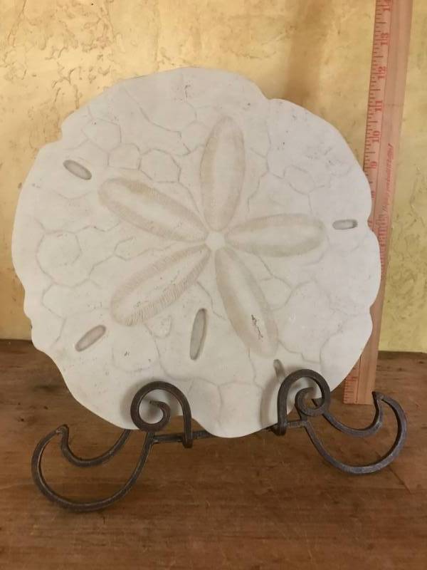 lot 2807 image: 11 Sand Dollar and metal stand