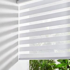lot 4045 image: Persilux Cordless Zebra Blinds for Windows Free-Stop Roller Windows Shades (35 W X 64 H, White) Dual Layer Light Control for Day and Night, Light Filtering Sheer Shades for Home, Bedroom