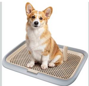 lot 4065 image: Dog Potty Tray, 23.6x17.68 Indoor Pet Pee Pad Holder,Puppy Training Holder,Bathroom Dog Litter Box, Pet Toilet for Small and Medium Dogs,Housebreaking Supplies, Pet Products(Gray)