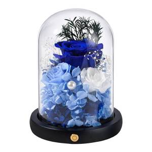 lot 4265 image: FIACO Valentines Day Preserved Flowers Rose Gifts for Women, Birthday Gifts Eternal Rose in Glass Dome Long-Lasting Real Forever Flowers Gifts for Mom Grandma Wife Her Girlfriend