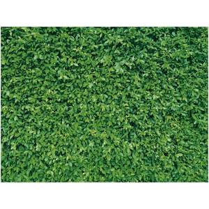 lot 4379 image: Mixweer 8 x 10 ft Green Leaves Wall Backdrops Photography 3D Greenery Grass Nature Polyester Fabric Background for Birthday Wedding Dinosaur Jungle Shower Party Decorations Photo Prop