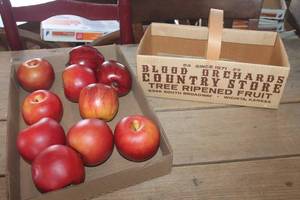lot 4036 image: Vtg. Fruit Box and Apples