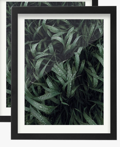 lot 43493 image: Double Matted Black Frame.  Approximately 41x41.