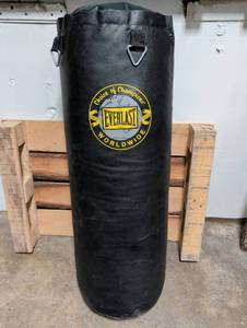 lot 99353 image: Everlast Heavy Punching Bag - with chains